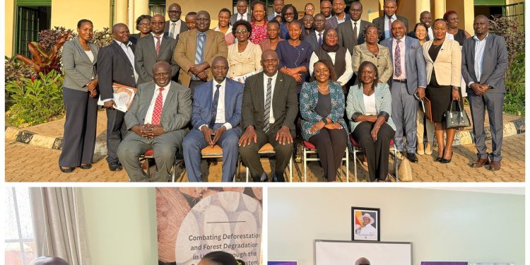 Judicial officers trained on adjudication of Forest Crimes