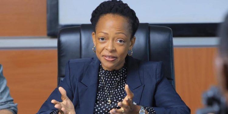 Rwenzori Tourism Destination Management Plan