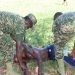Tragic: One Dies During UPDF Recruitment Exercise in Apac