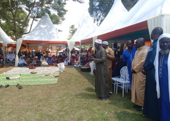 Streamline, Improve Service Delivery in Haj Affairs, Mufti Advises Companies