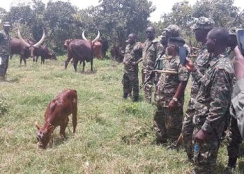 UPDF Soldiers Empowered with Financial Skills