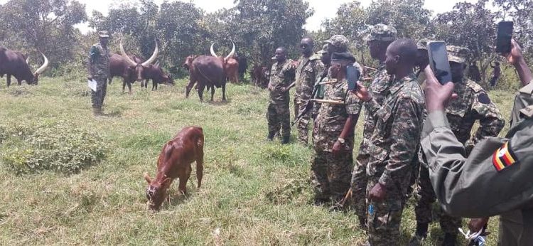 UPDF Soldiers Empowered with Financial Skills