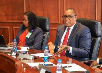 Parliamentary Caucus Holds a Consultative meeting on World Bank and IMF