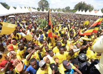 Among Mobilizes Namutumba behind NRM development agenda
