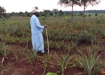 Deputy Mufti tips Youth on proper utilization of time