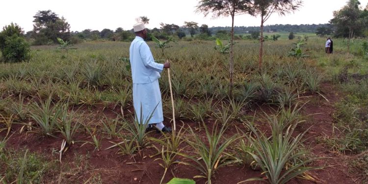 Deputy Mufti tips Youth on proper utilization of time