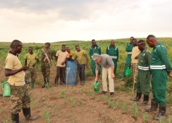 Japanese Prof. Dr Jo Min Kim in Uganda