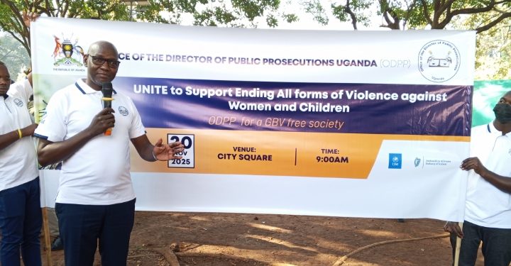 DPP calls team work in addressing Gender Based Violence