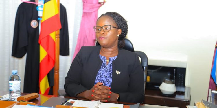 Bailiffs Urged to be Professional and Compliant