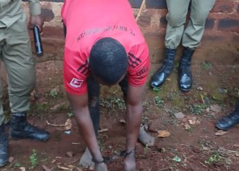 Police Arrest Suspect in Motor Vehicle Number Plate Theft