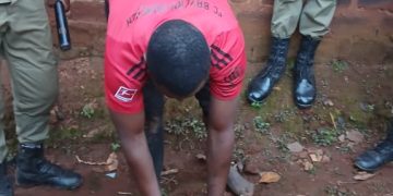 Police Arrest Suspect in Motor Vehicle Number Plate Theft