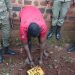 Police Arrest Suspect in Motor Vehicle Number Plate Theft