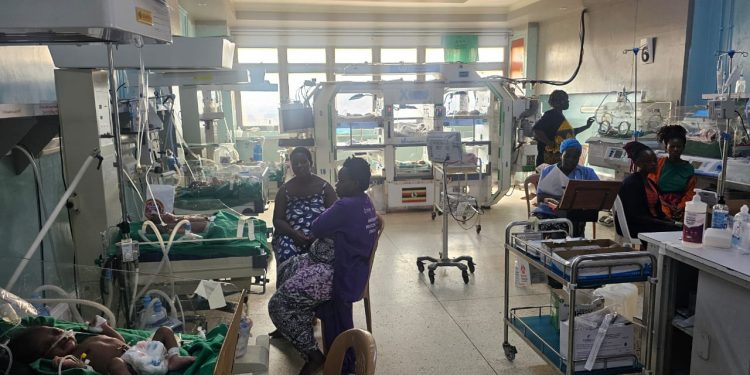 Inside Mama Tulia: The Initiative Changing Survival for Premature Babies