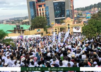 Muslims Mark Eid al-Adha as Mufti Applauds Belivers who Sacrificed Whole heartedly